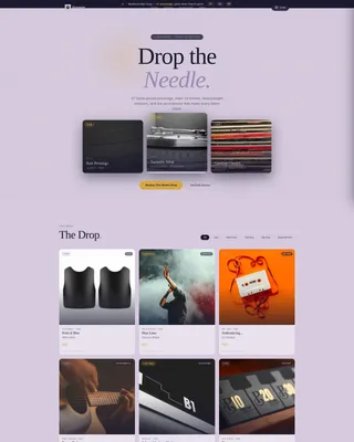 Vinyl Records & Turntable Accessories Landing Page