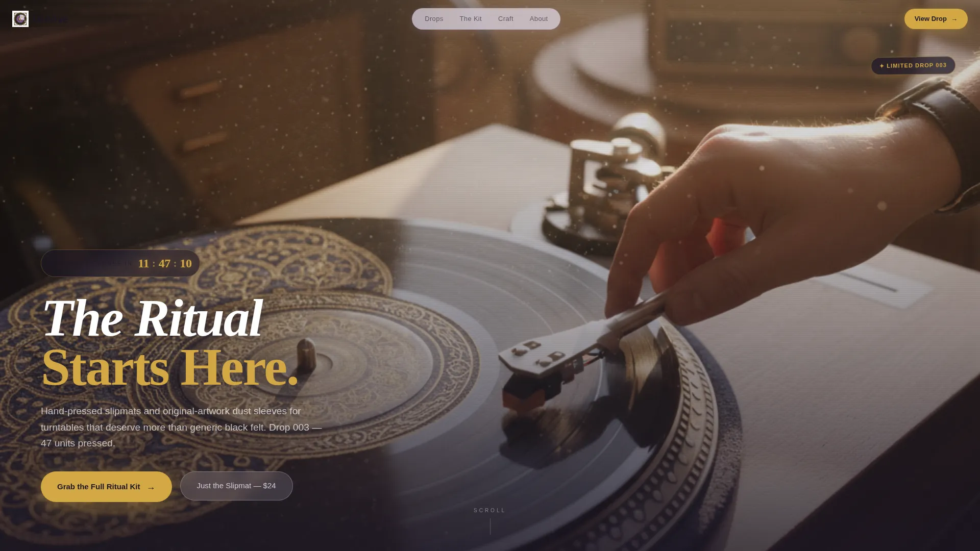 Retro Vinyl Landing Page for Turntable Accessory Stores