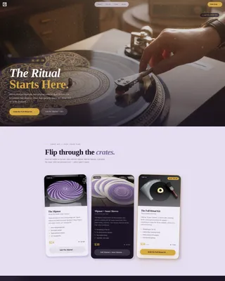 Retro Vinyl Landing Page for Turntable Accessory Stores