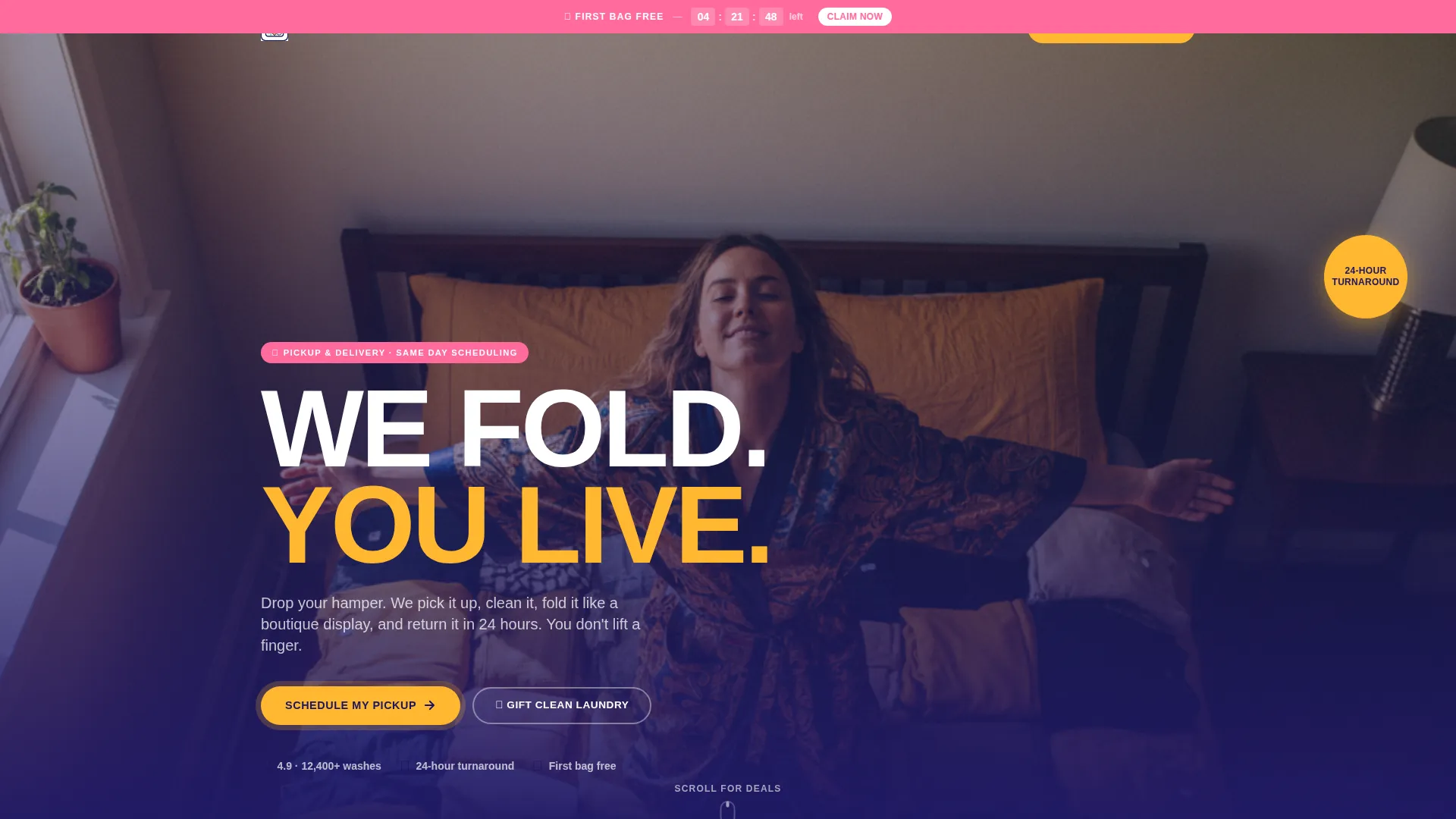 Laundry Service Landing Page Template | Neo-Retro