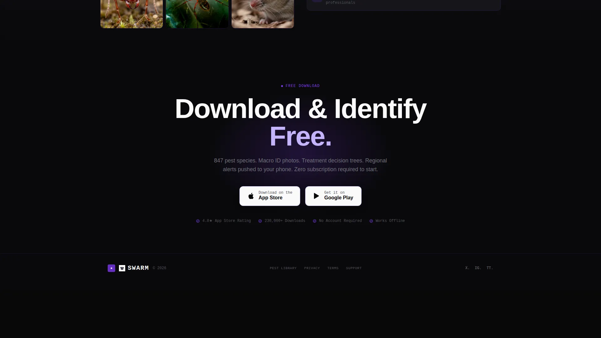 Advanced Pest Management Landing Page Template