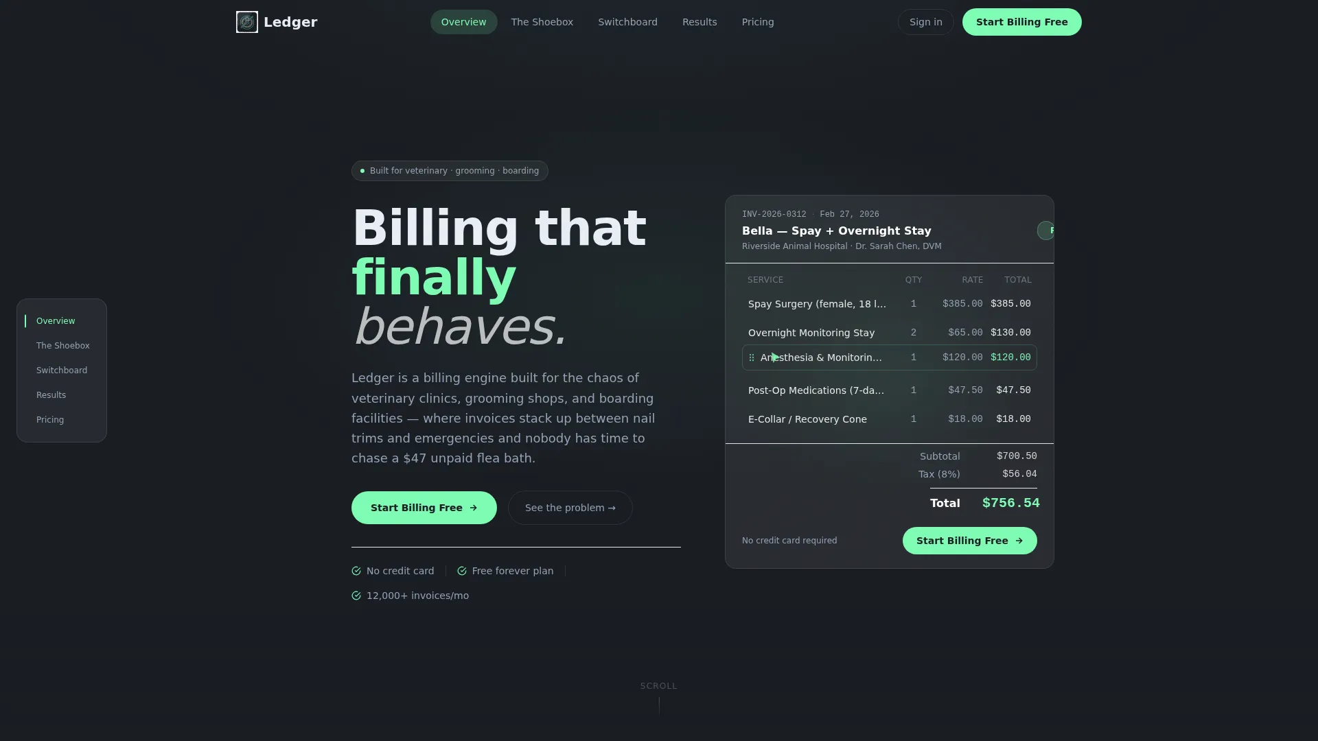 Pet Care Billing & Invoicing Landing Page Template