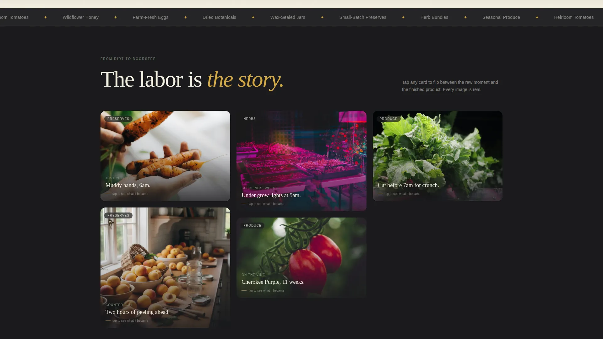 Artisan Farm-to-Door Landing Page Template