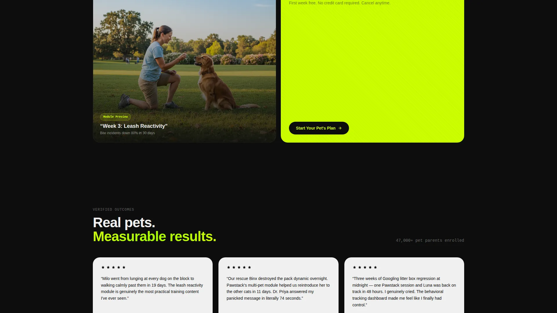 Pet Care Digital Presence Professional Website Template