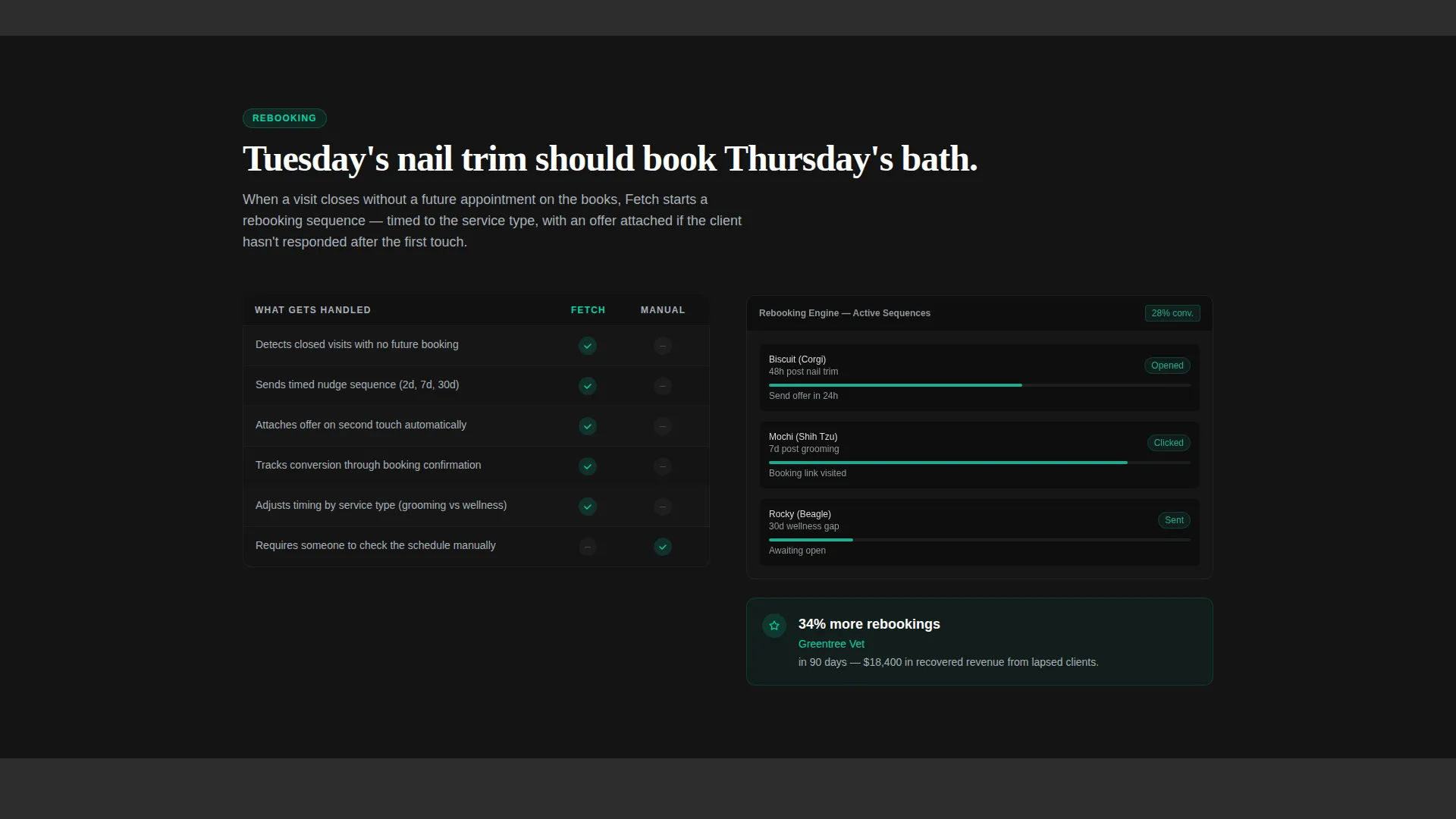 Pet Care Marketing Automation Landing Page Template
