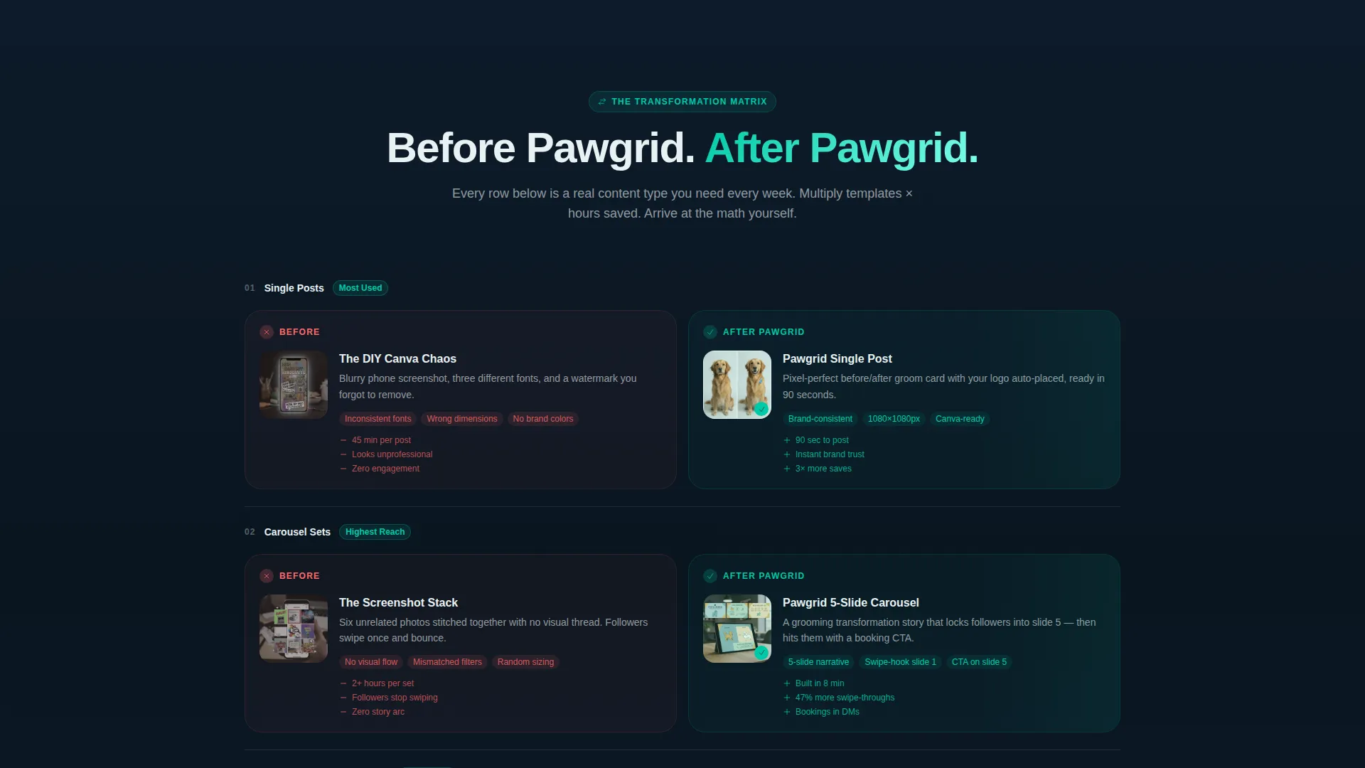 Specialist Pet Care Digital Presence Professional Website Template