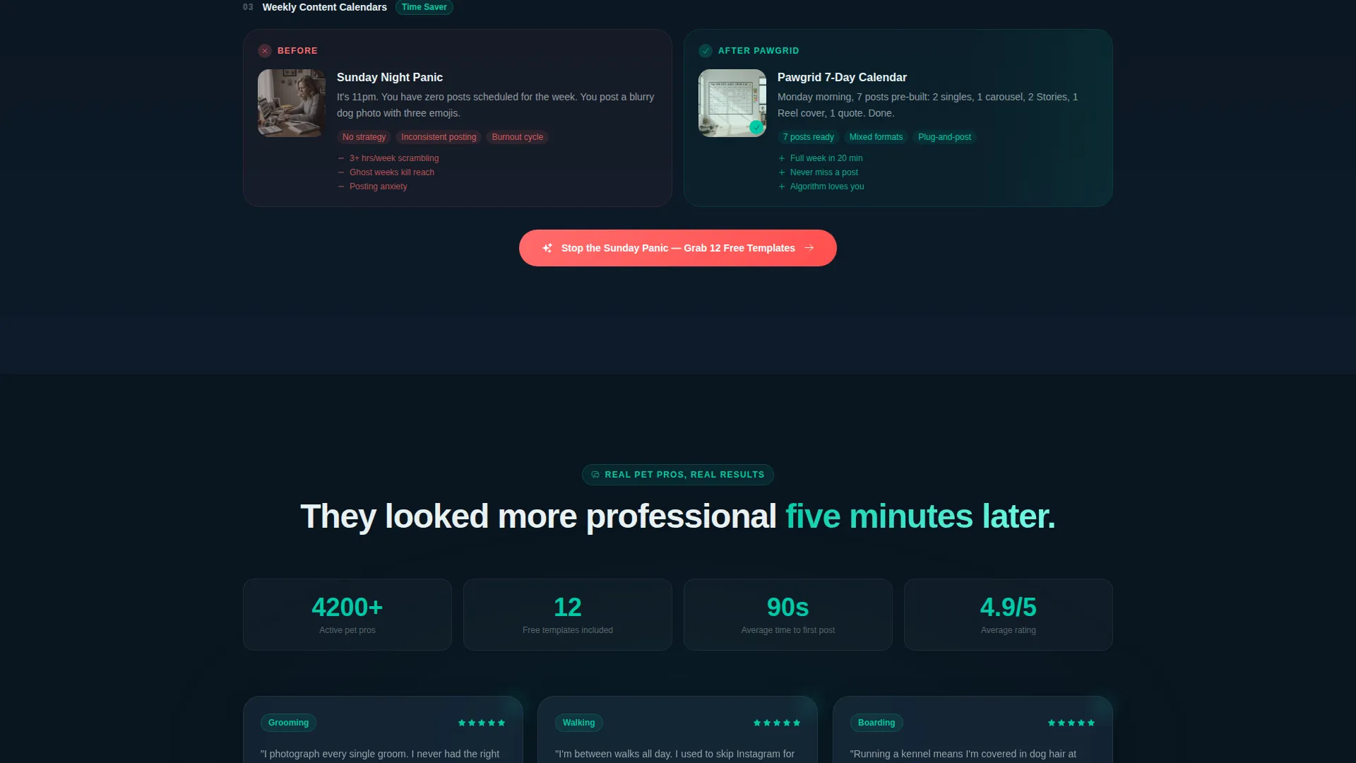 Specialist Pet Care Digital Presence Professional Website Template