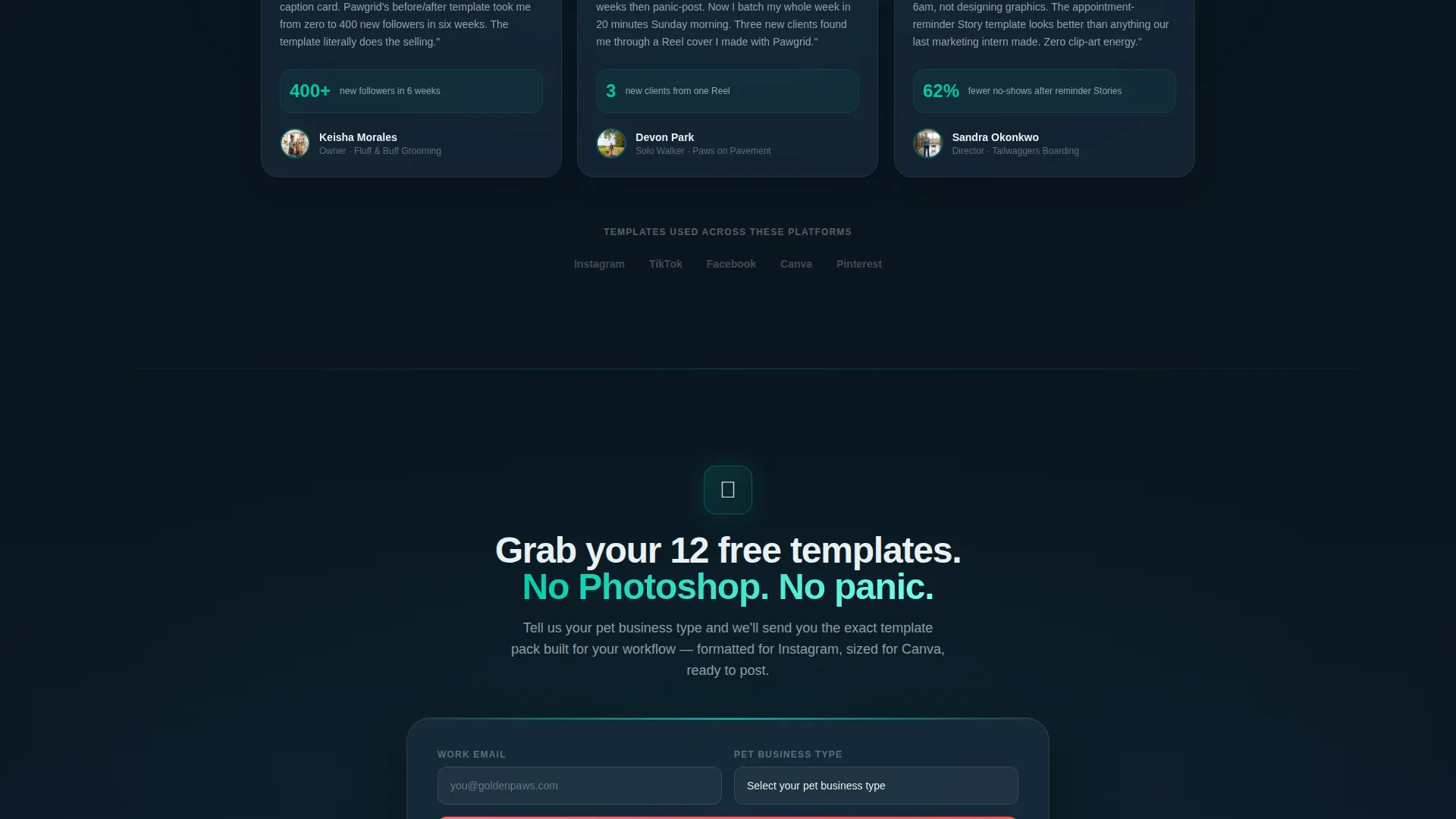 Specialist Pet Care Digital Presence Professional Website Template