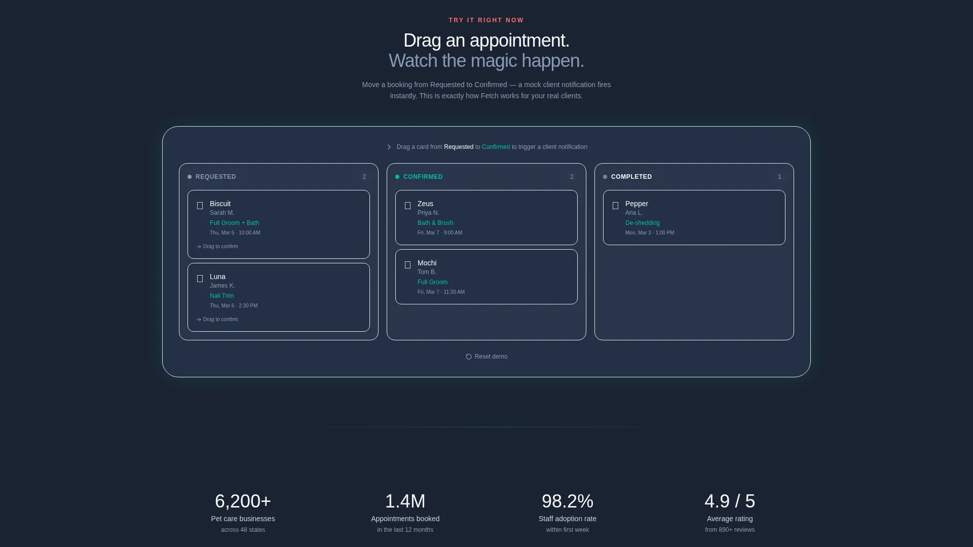 Advanced Pet Care Digital Presence Professional Website Template