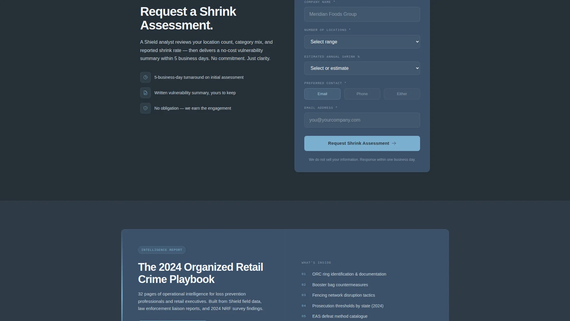 Retail Loss Prevention Landing Page Template