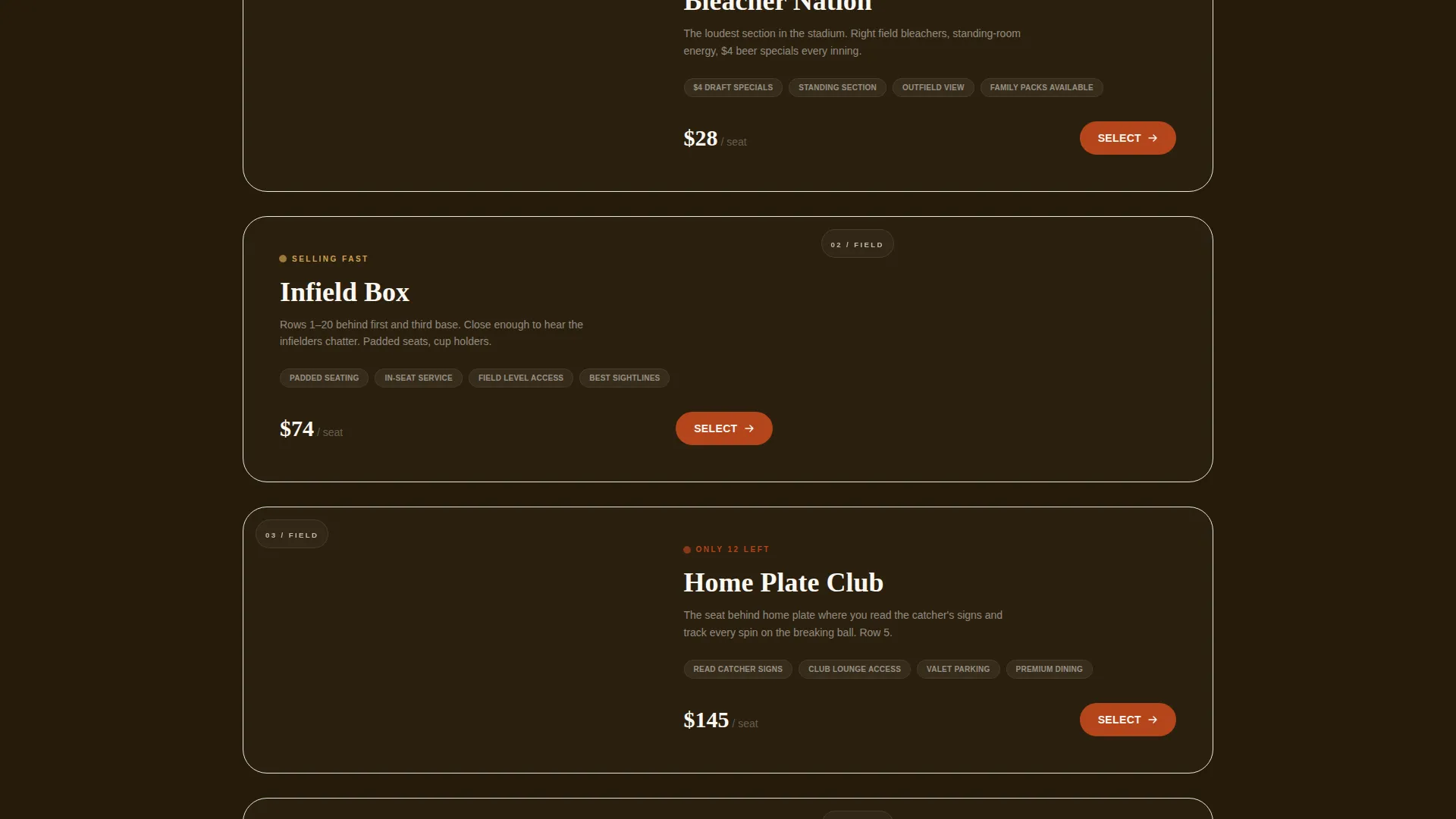 Baseball Stadium Landing Page Template