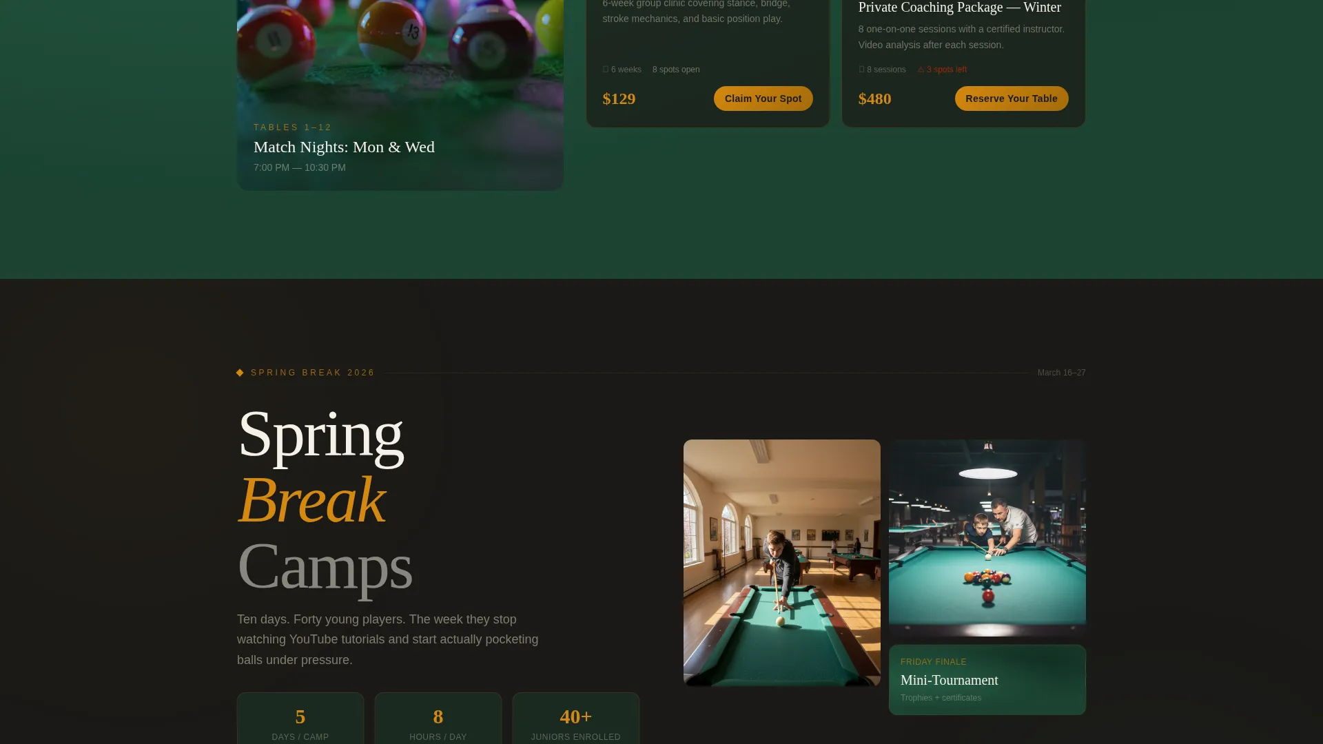 Billiards Academy Landing Page Template
