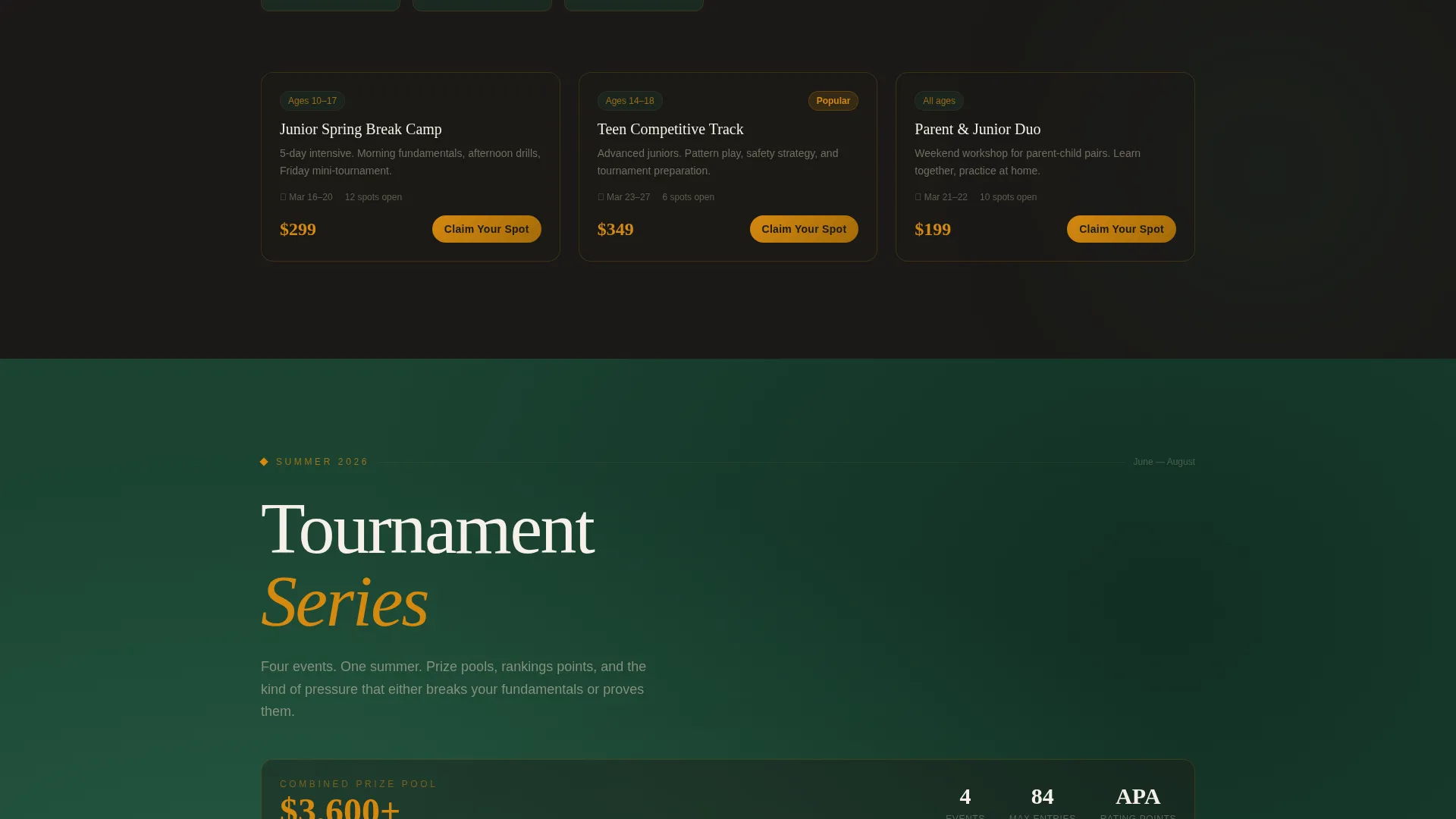 Billiards Academy Landing Page Template