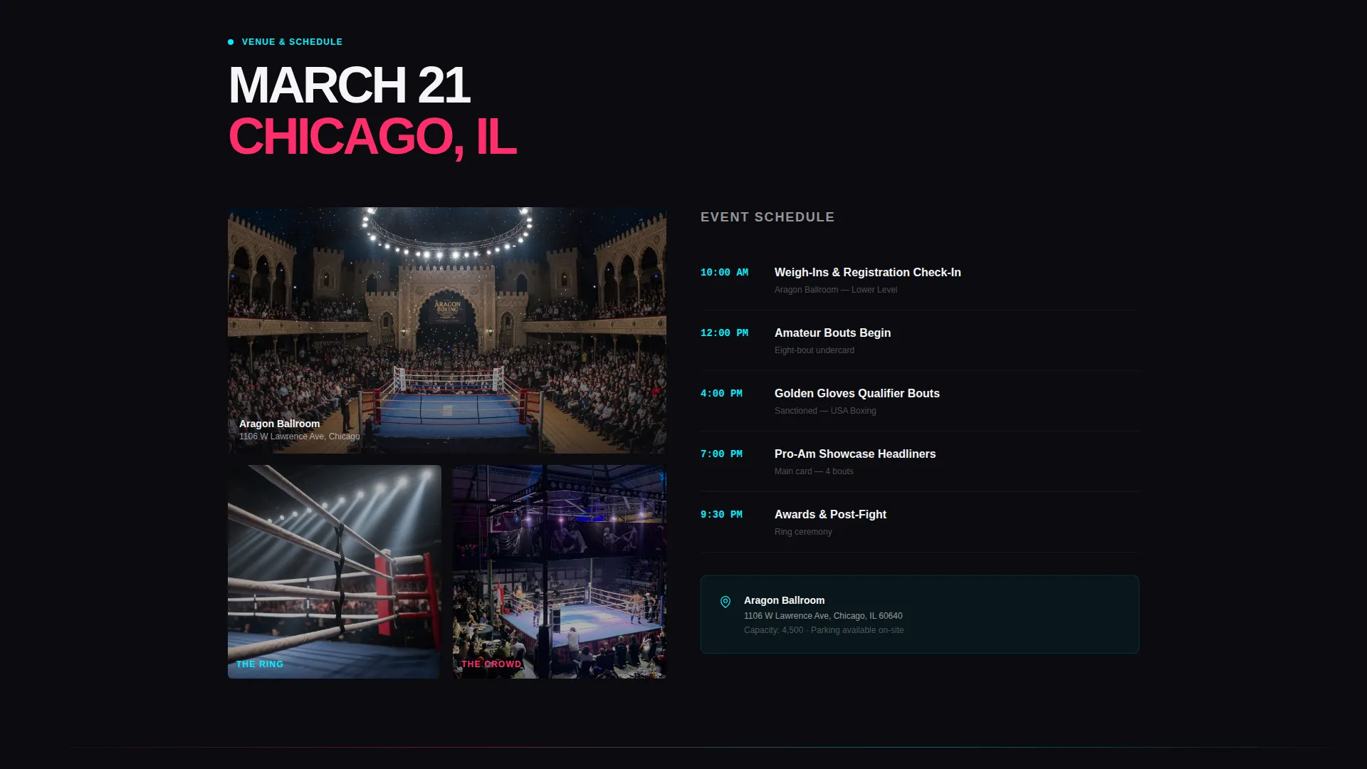 Boxing Specialist Professional Website Template