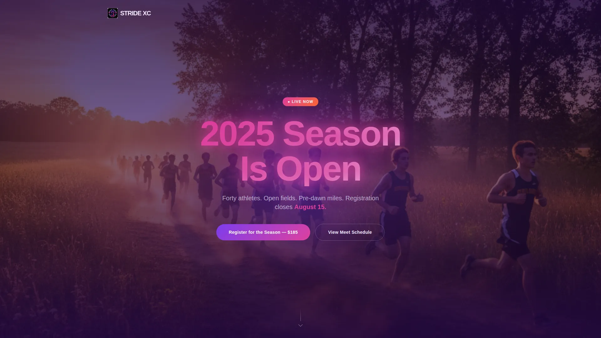 Championship Endurance Running Landing Page Template