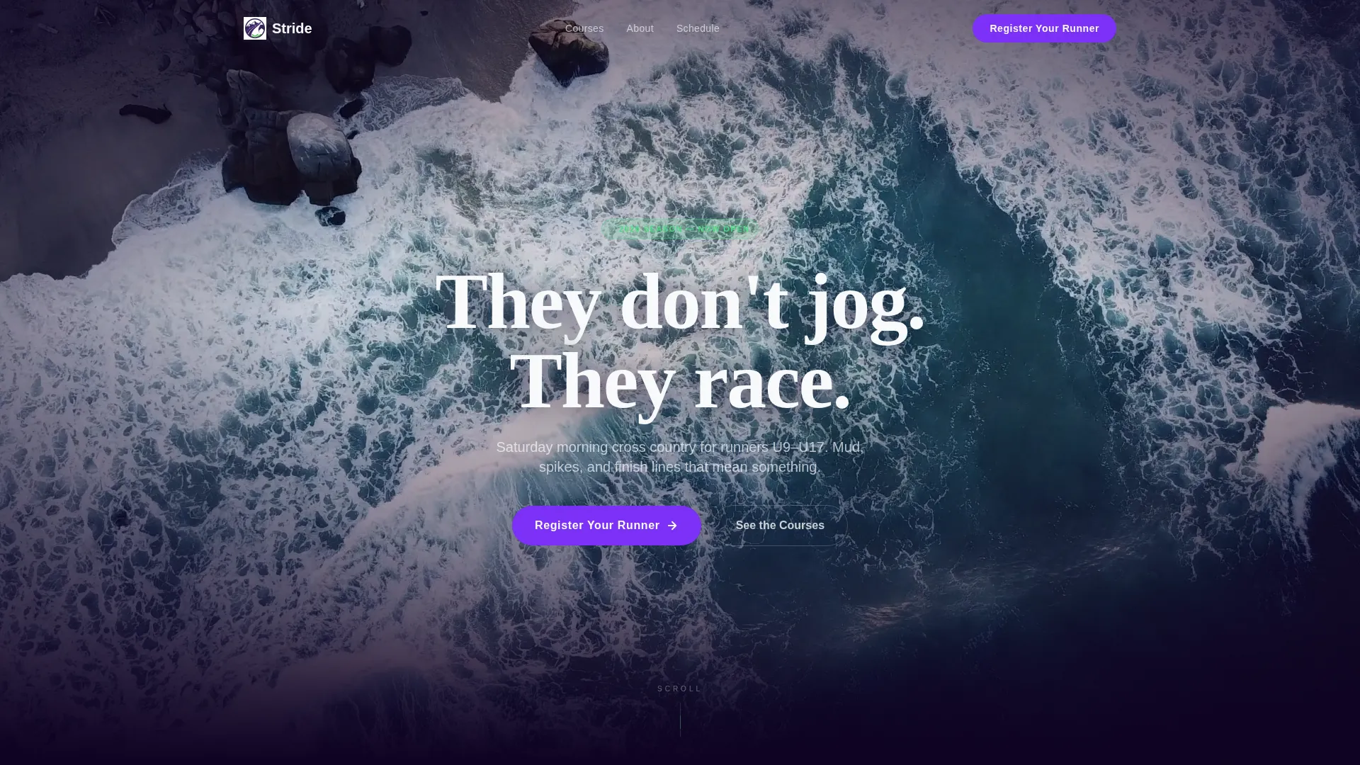Cross Country Leagues Specialist Professional Website Template