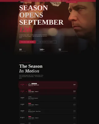 Specialist Darts Professional Website Template