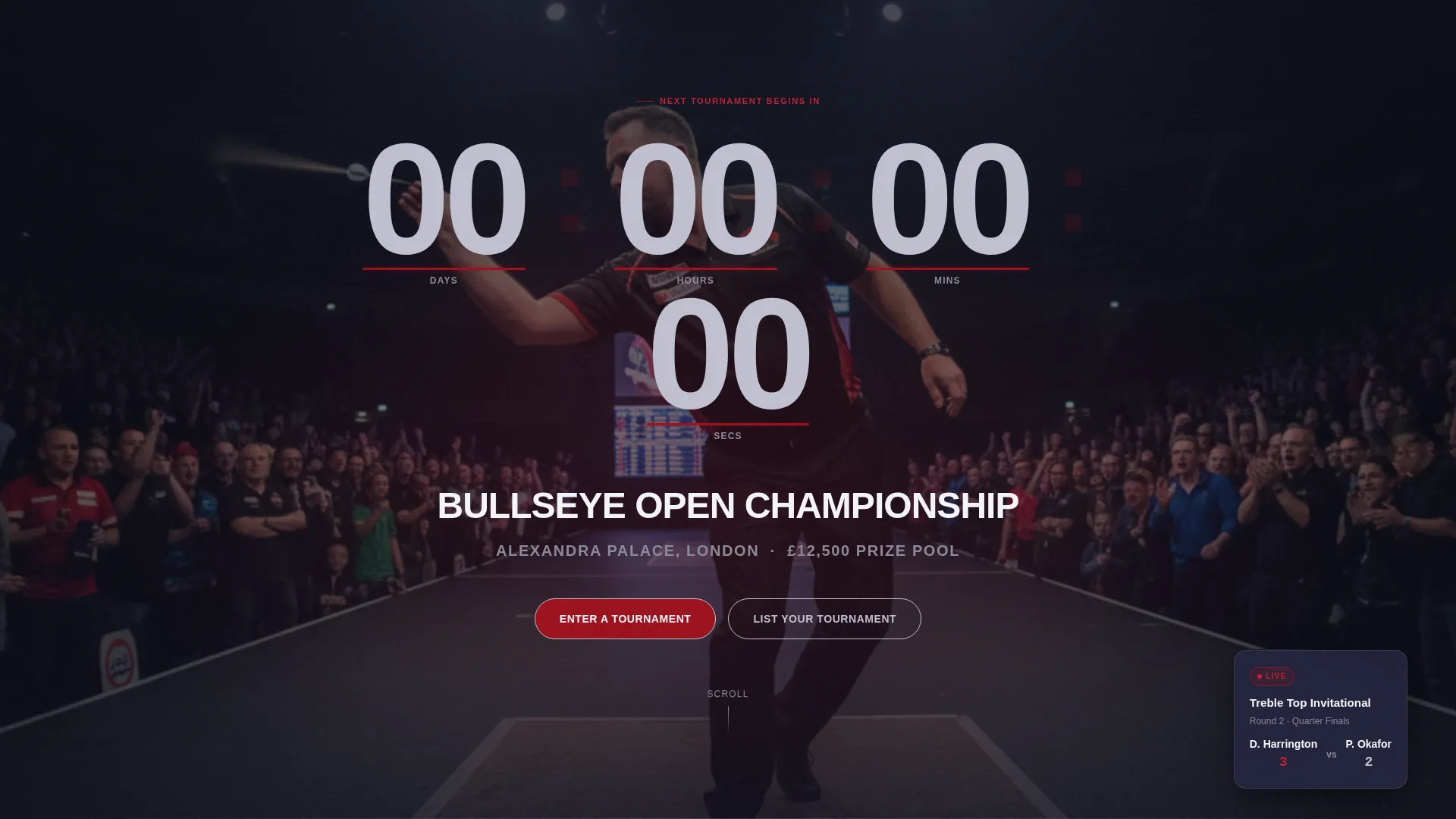 Darts Specialist Professional Website Template