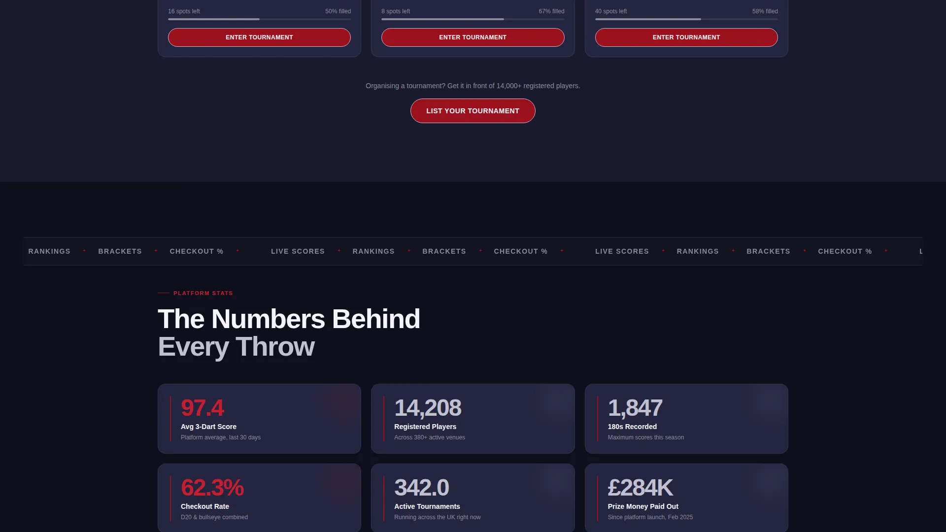 Darts Specialist Professional Website Template