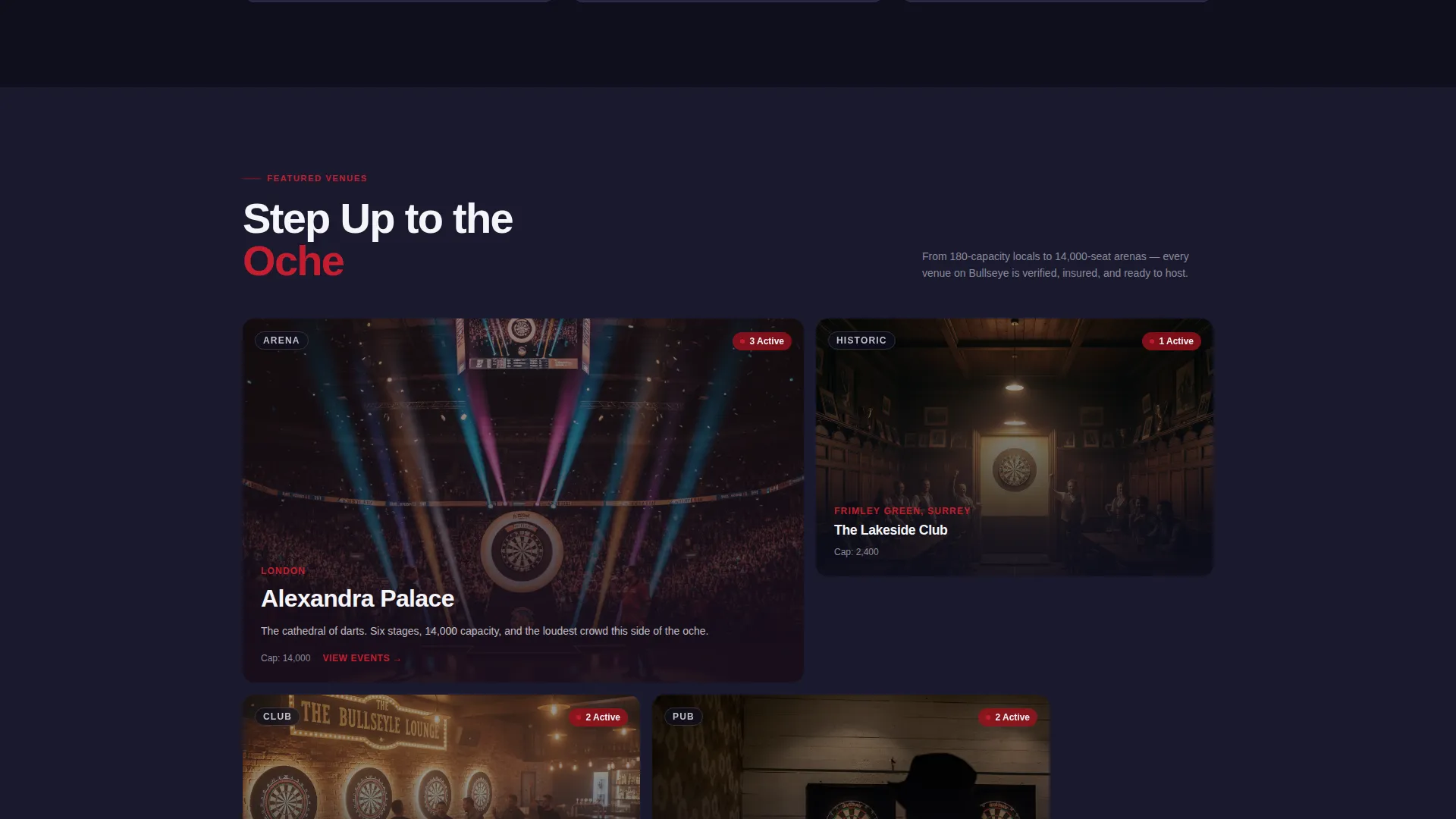 Darts Specialist Professional Website Template
