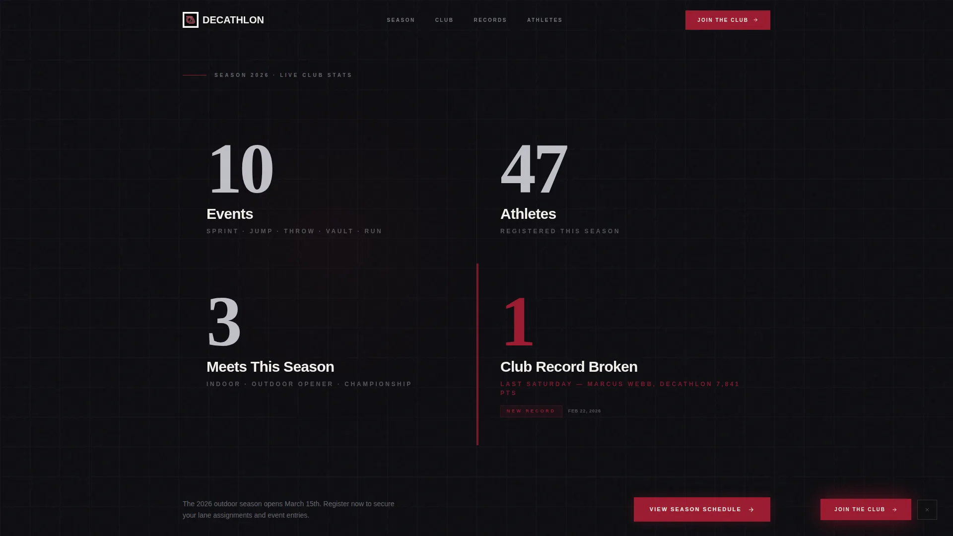 Decathlon Professional Website Template