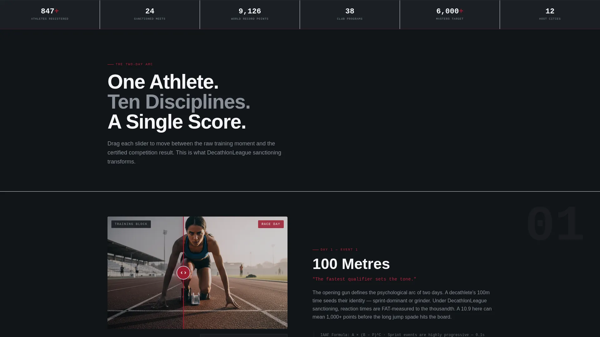 Decathlon Professional Website Template