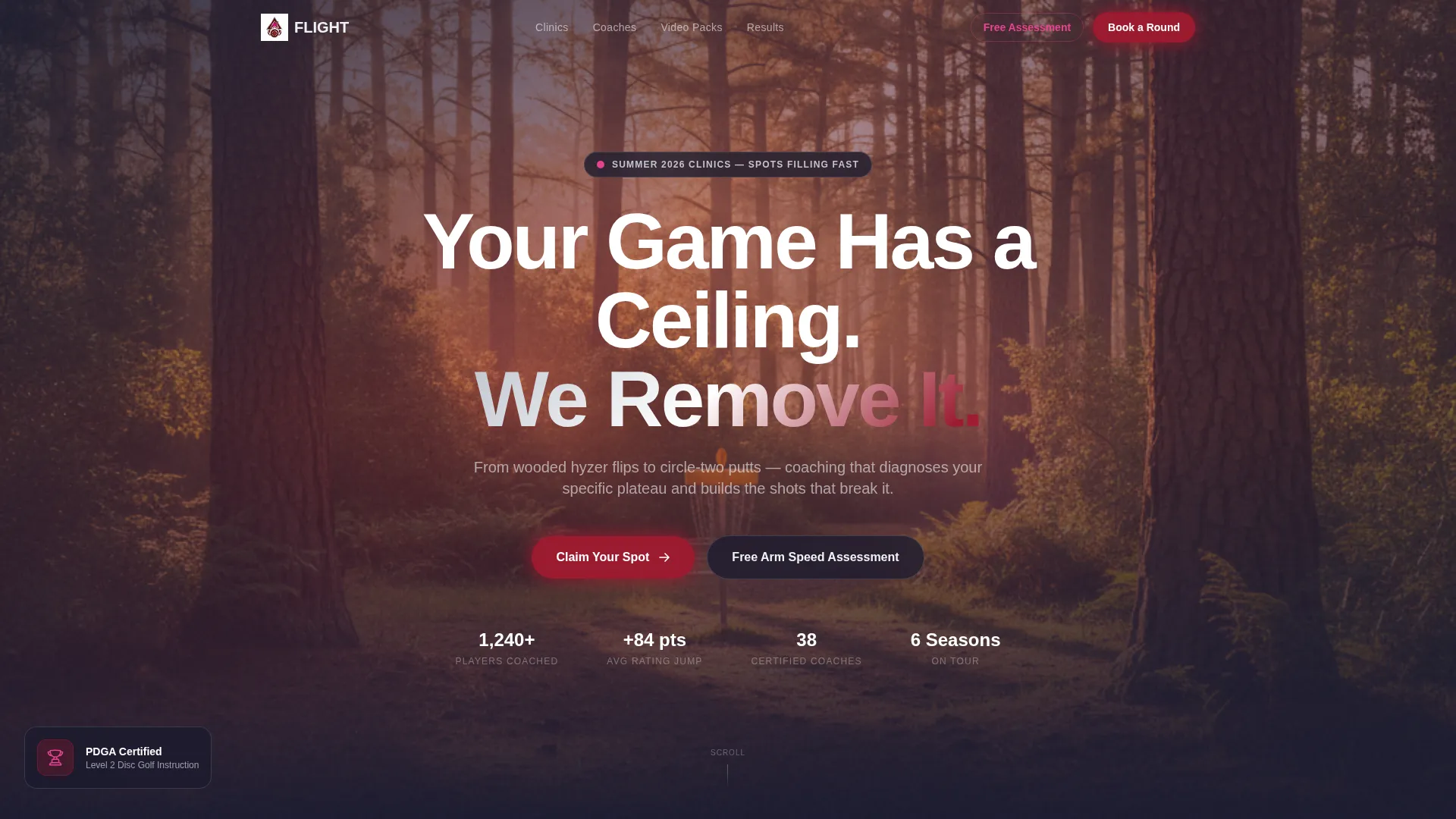 Dynamic Disc Golf Tournament Landing Page Template