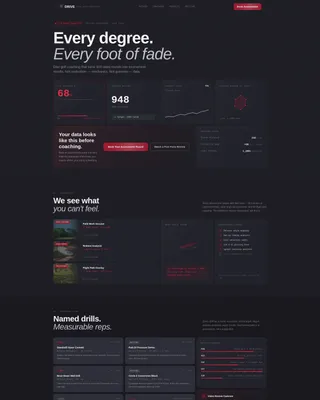 Disc Golf Booking Website Template
