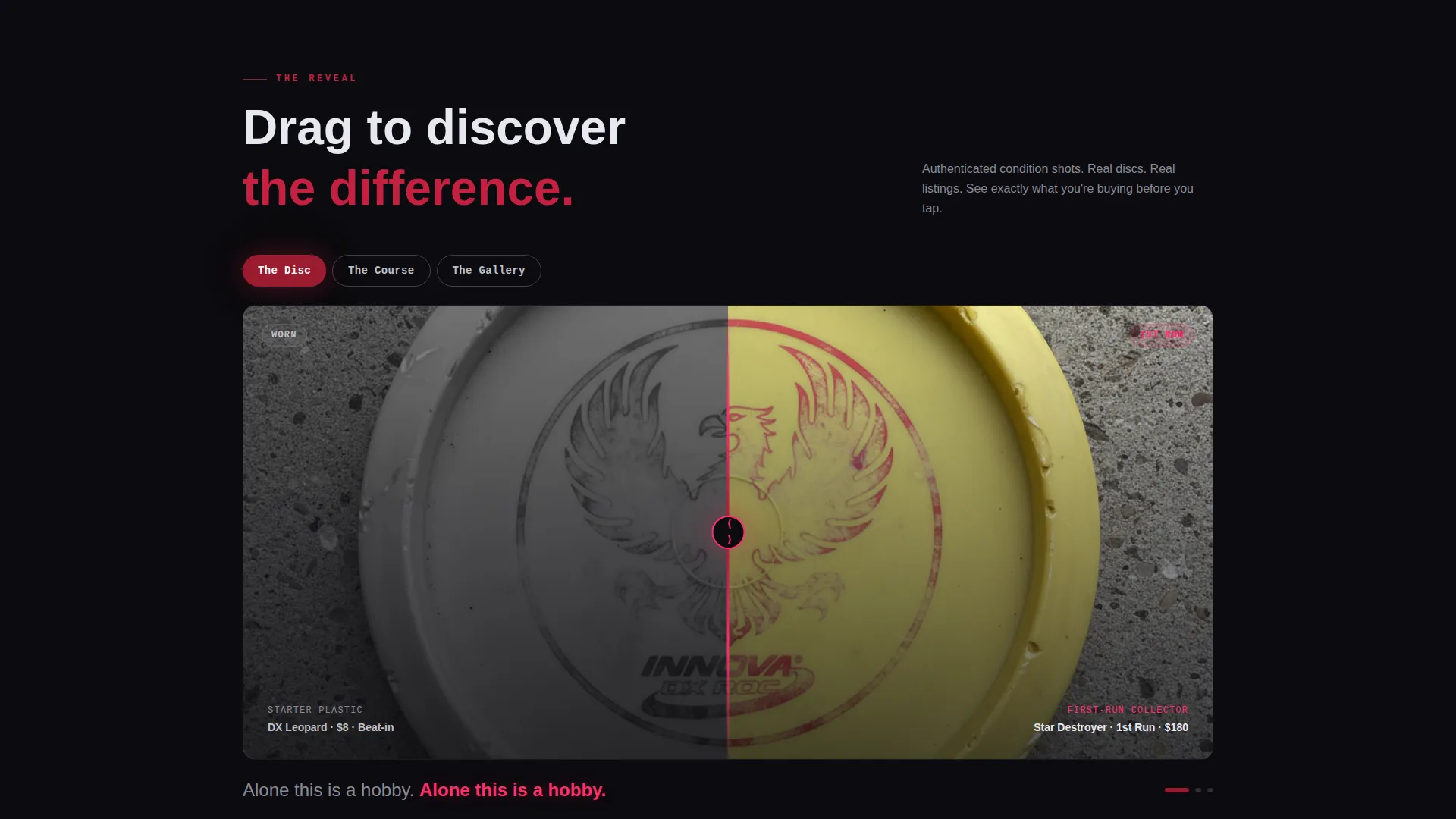 Disc Golf Professional Website Template