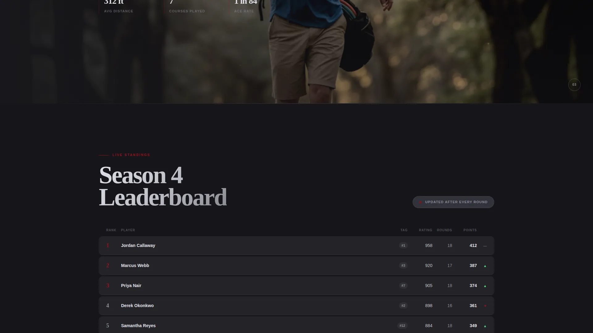 Disc Golf Specialist Professional Website Template