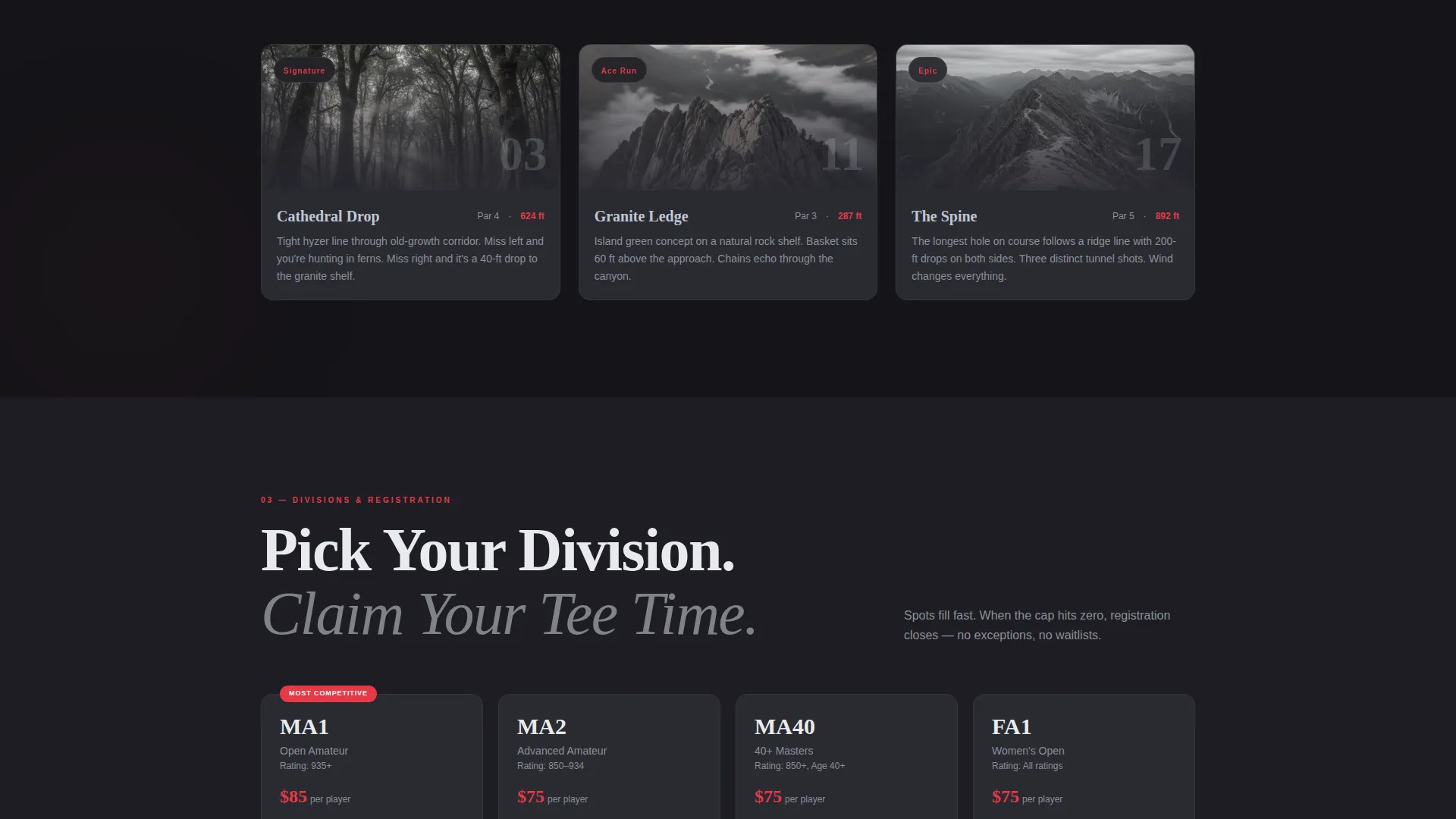 Disc Golf Complete Professional Website Template