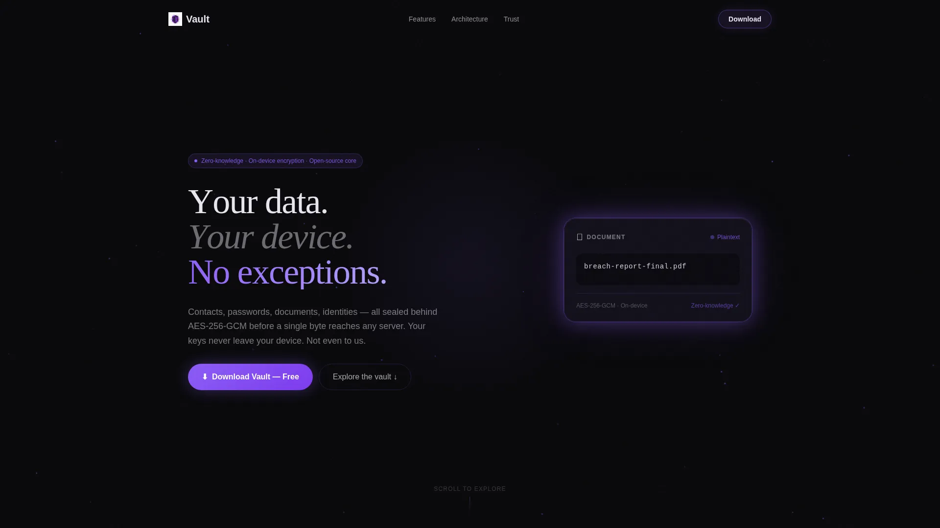 Encrypted Privacy Landing Page Template