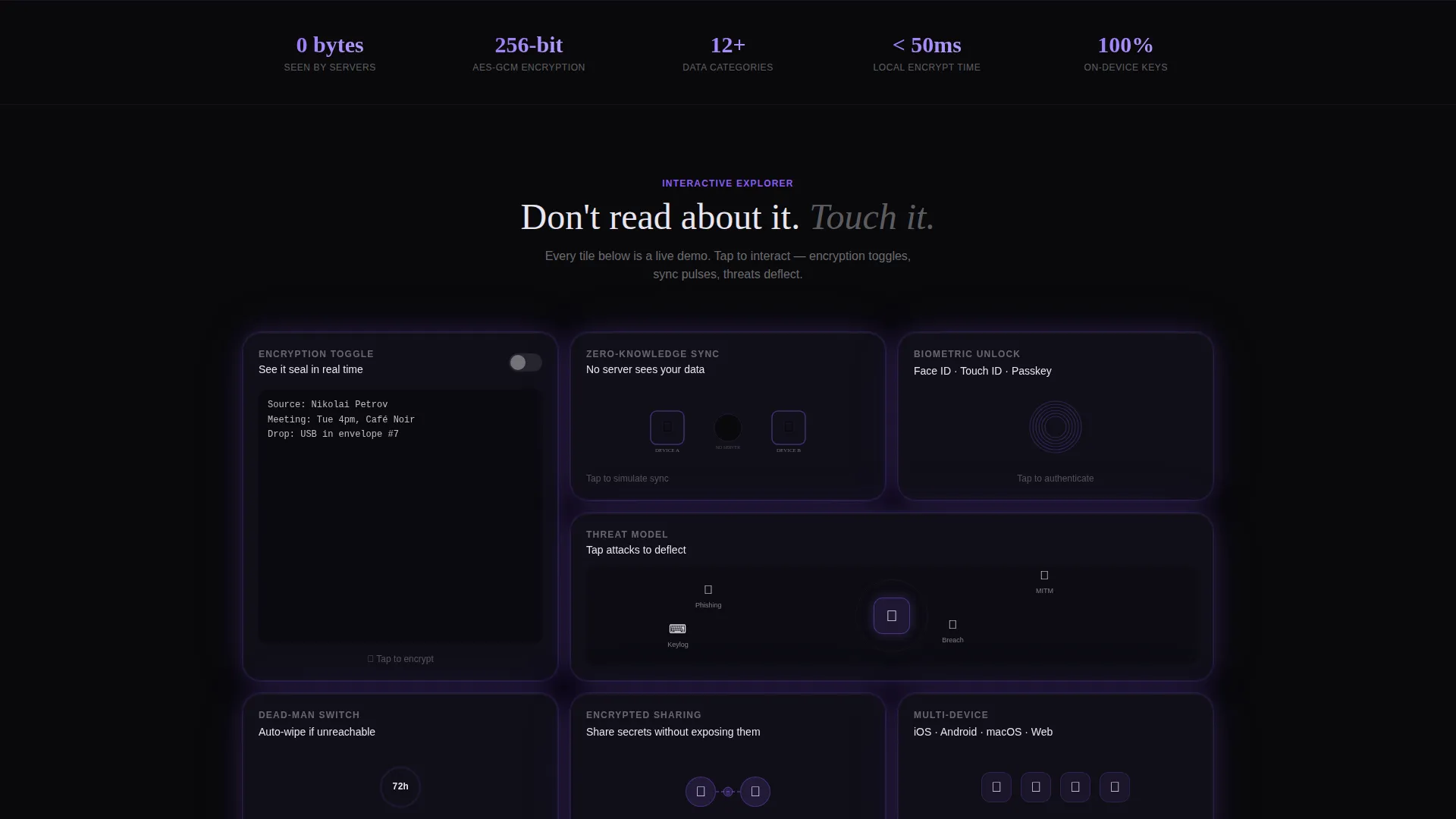 Encrypted Privacy Landing Page Template