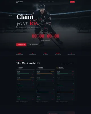 Ice Hockey Leagues Booking Website Template