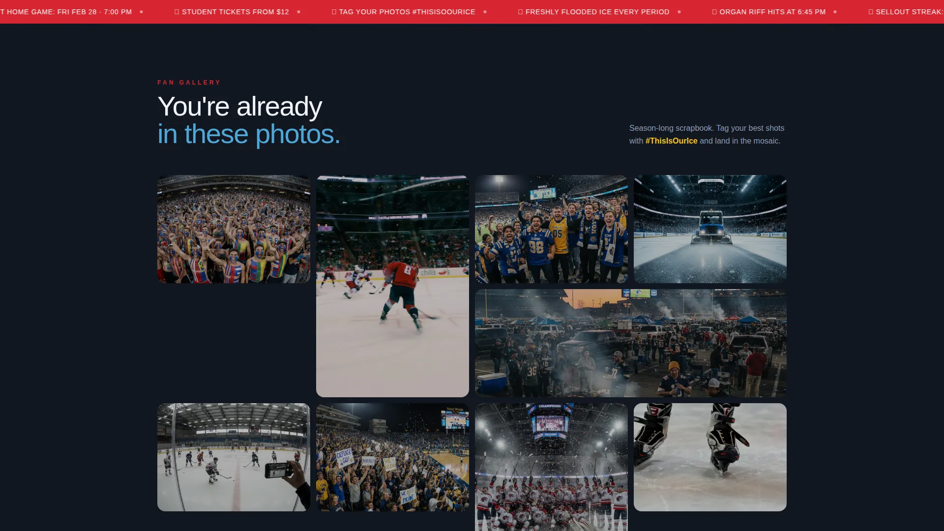 Ice Hockey Leagues Advanced Professional Website Template