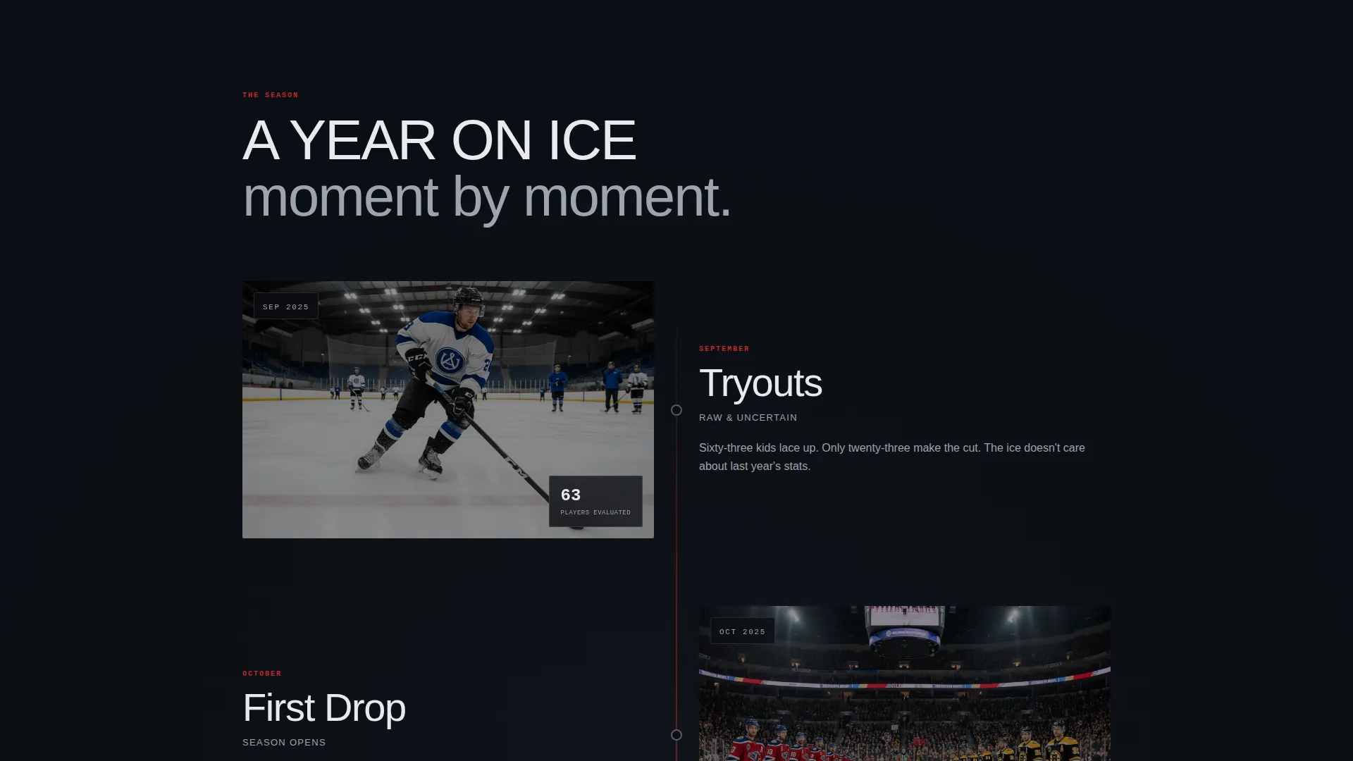 Ice Hockey Leagues Expert Professional Website Template