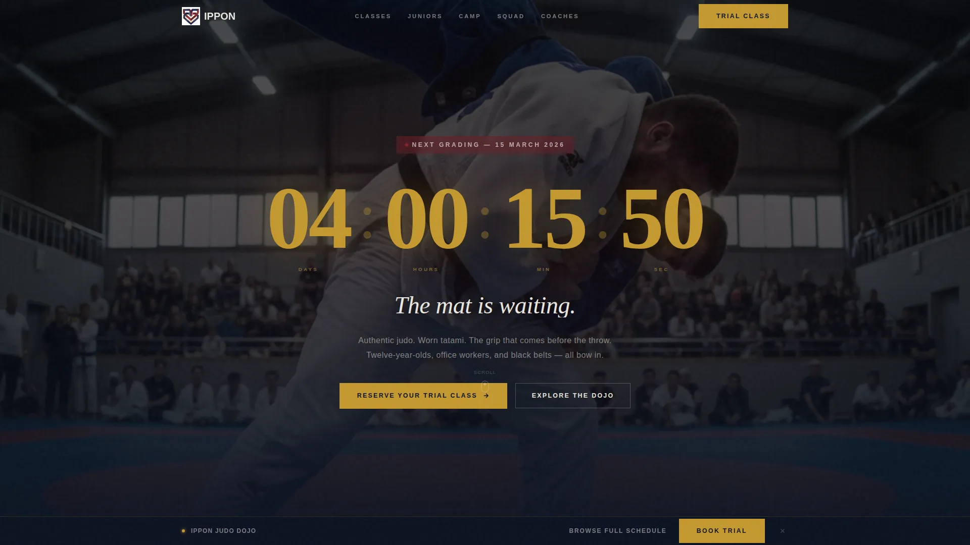 Elite Competitive Judo Landing Page Template
