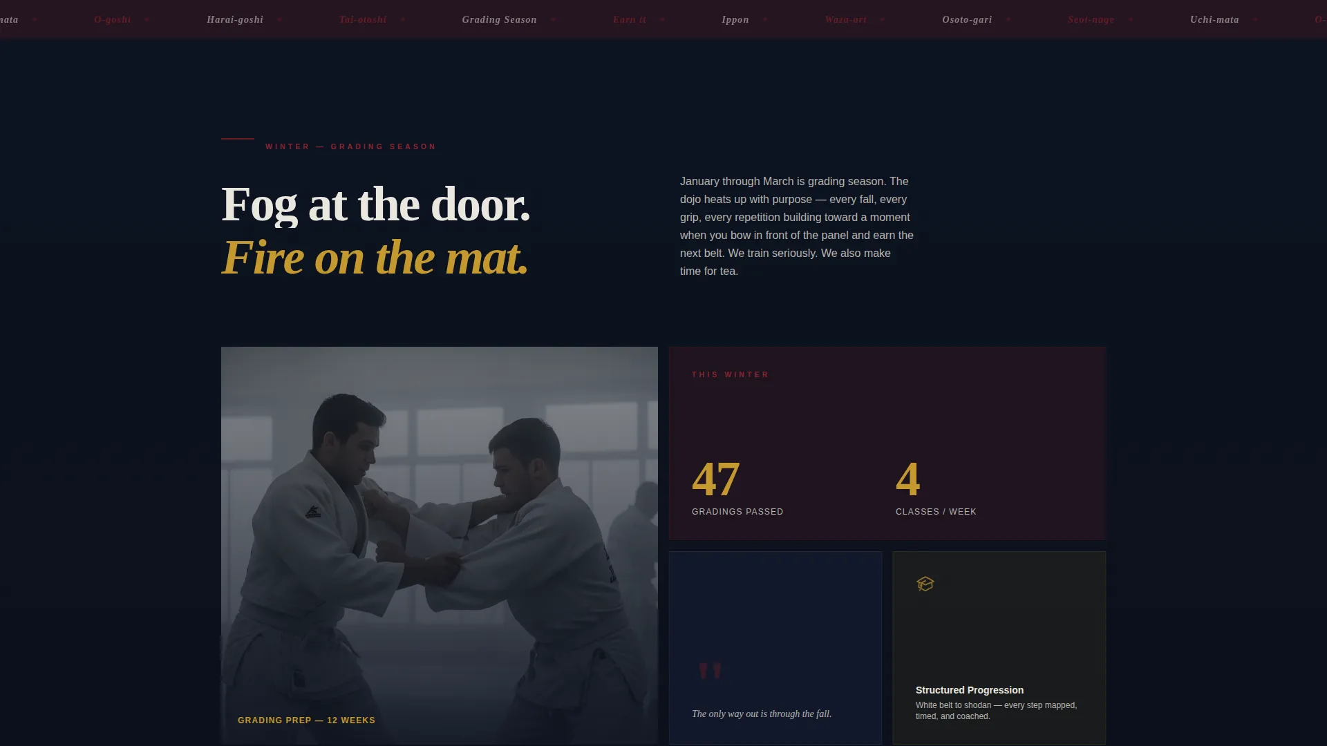 Elite Competitive Judo Landing Page Template