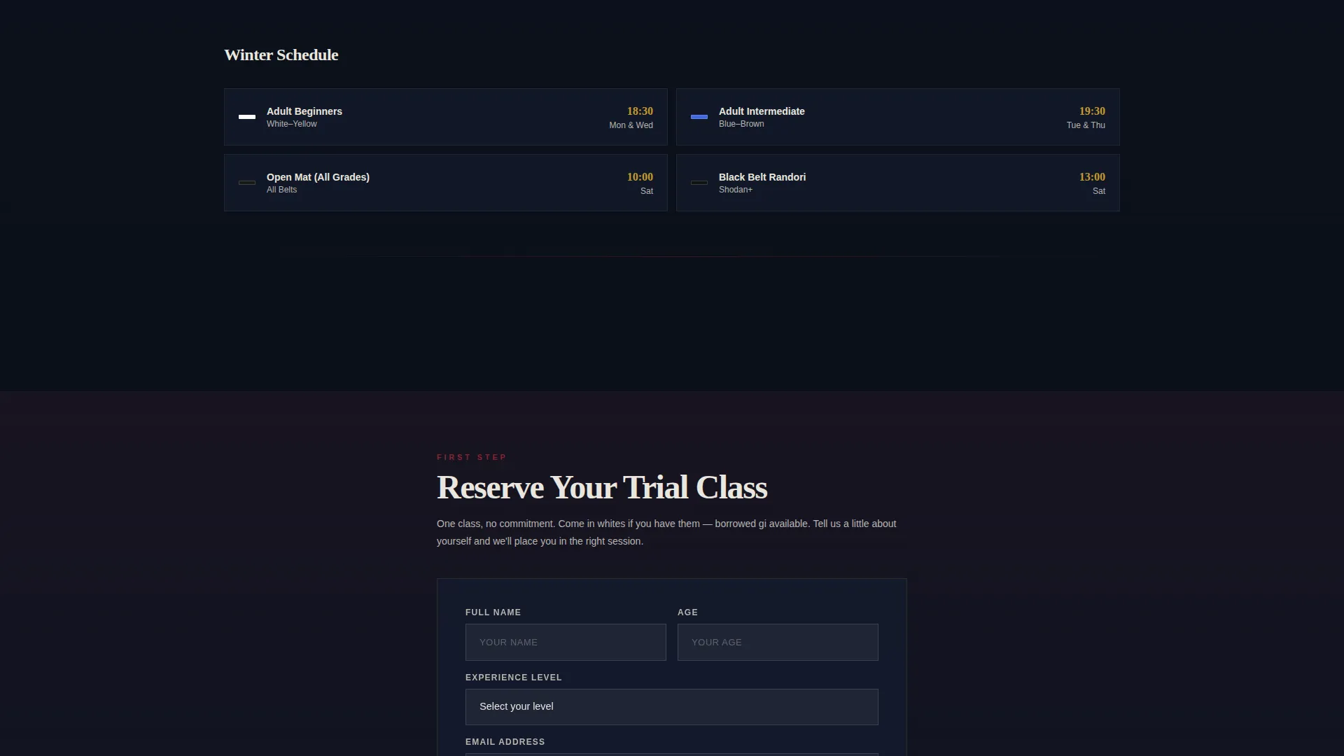 Elite Competitive Judo Landing Page Template