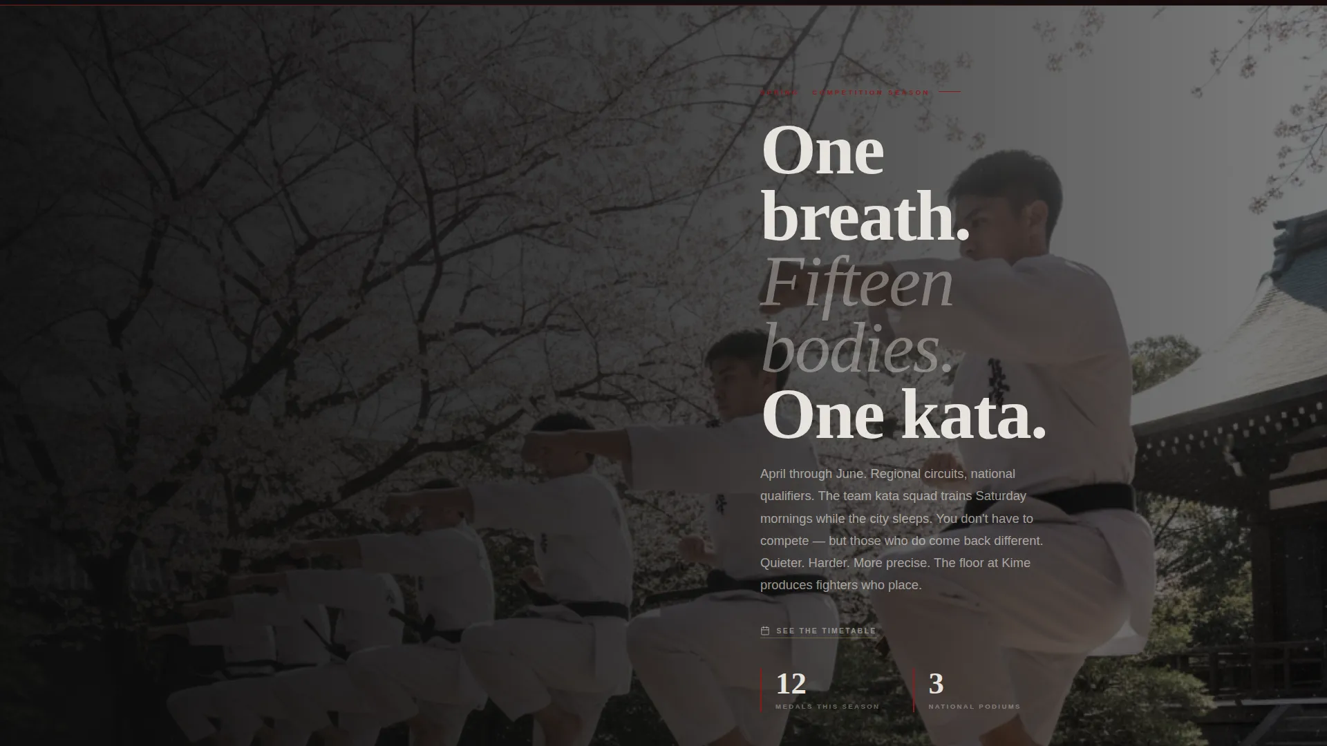 Immersive Karate Landing Page Template for Dojos