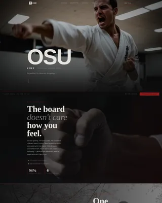 Immersive Karate Landing Page Template for Dojos
