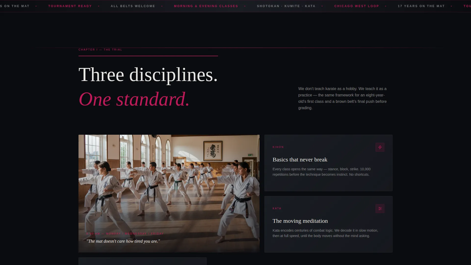Cinematic Karate Landing Page Template