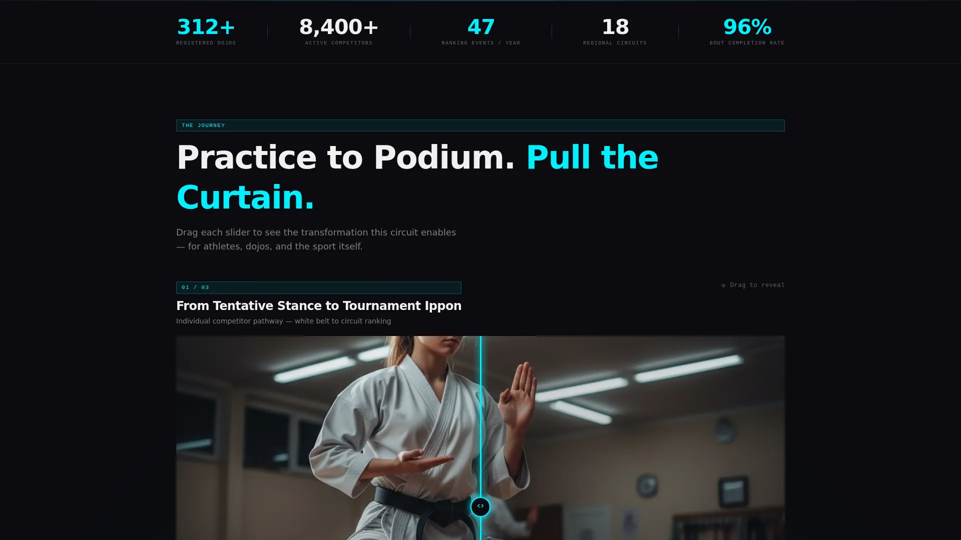 Karate League Landing Page Template
