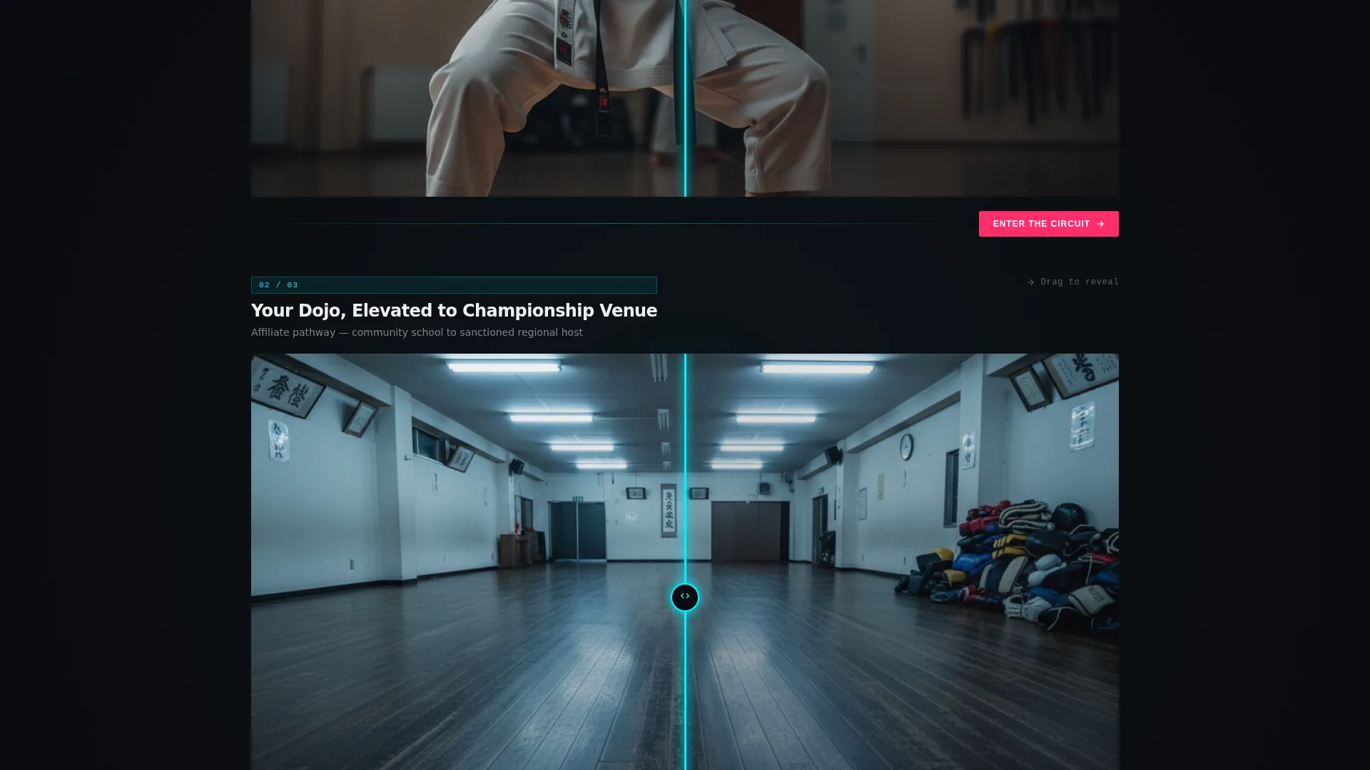 Karate League Landing Page Template