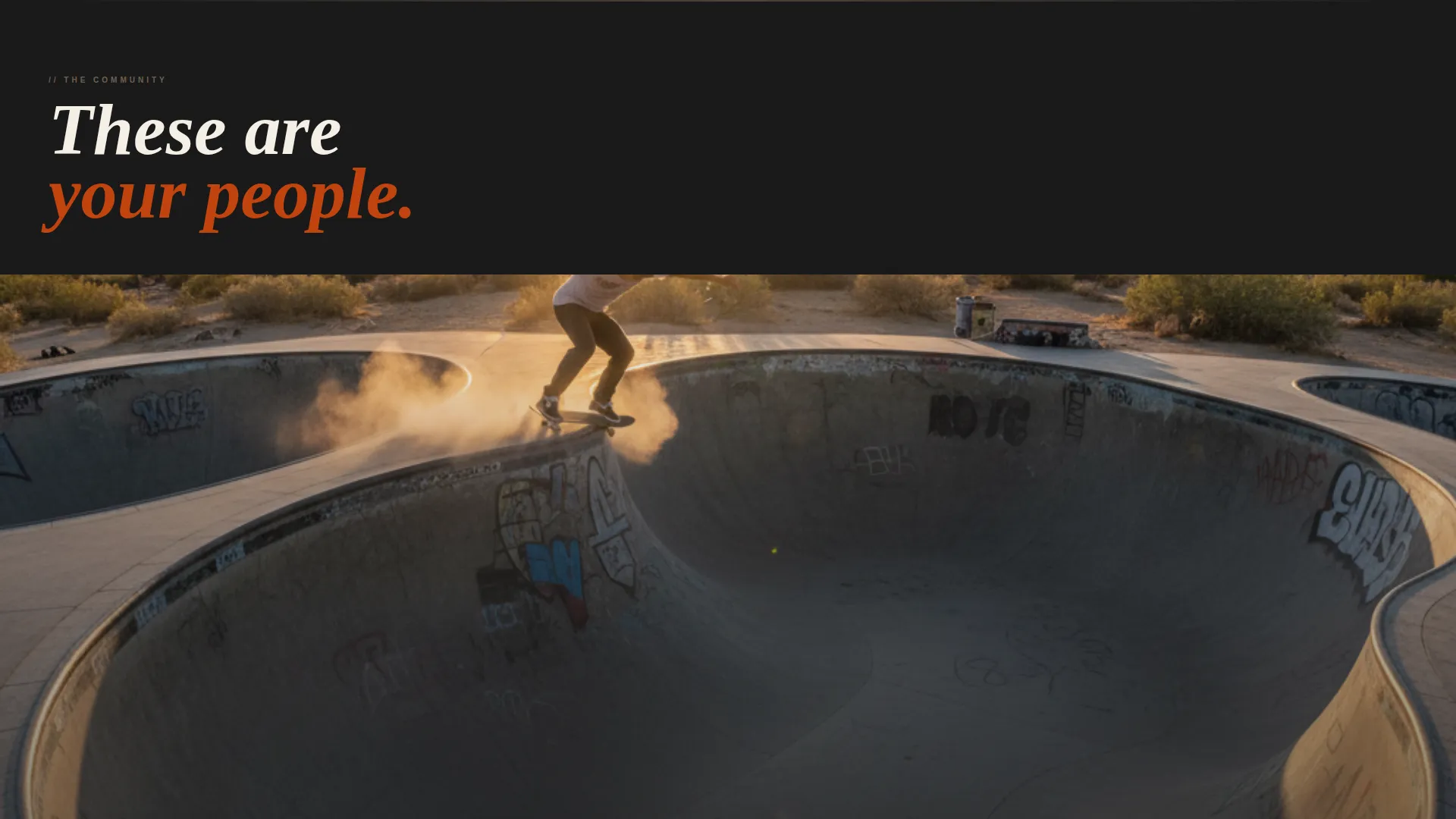 Specialist Skateboarding Appointment Booking Website Template