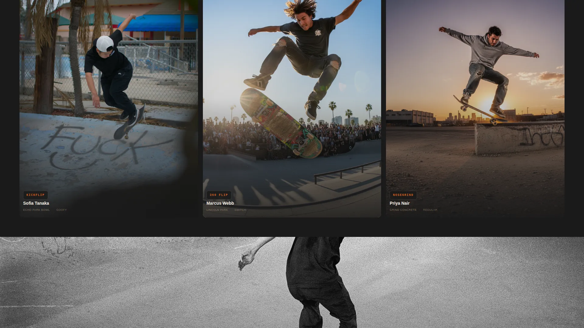 Specialist Skateboarding Appointment Booking Website Template