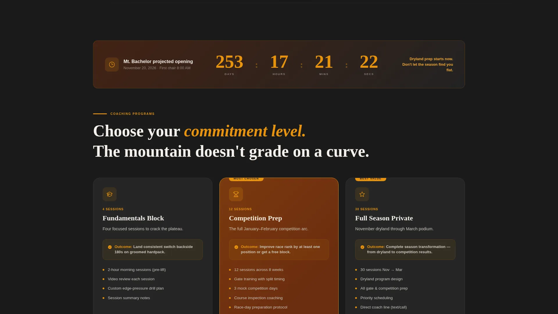 Elite Snowboarding Coaching Landing Page Template