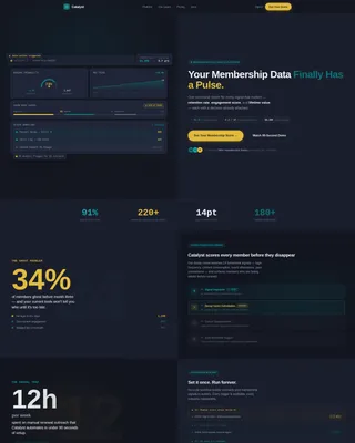 B2B Membership SaaS Landing Page Template