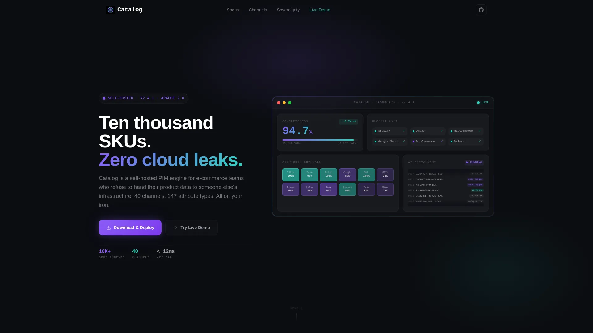 Self-Hosted Enterprise Software Specialist Professional Website Template