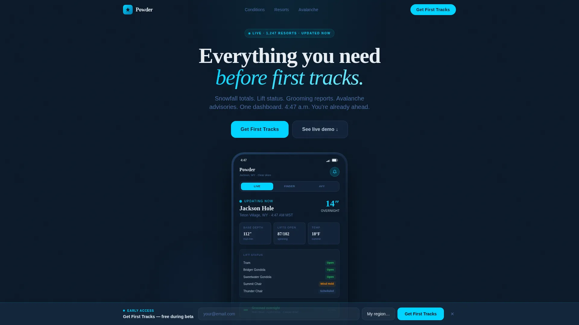 Consumer App & Platform Professional Website Template